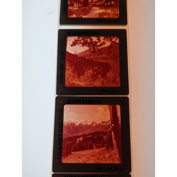 Vintage GAF Pana-Vue Slides Olympic Peninsula Washington State Lot of 5 PV114 - Picture 10 of 11
